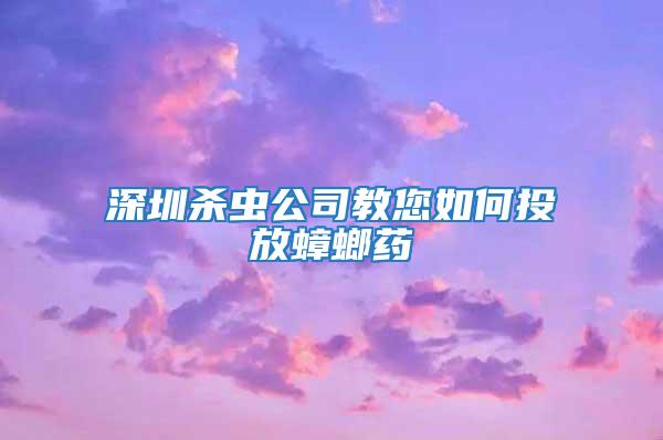 深圳殺蟲公司教您如何投放蟑螂藥