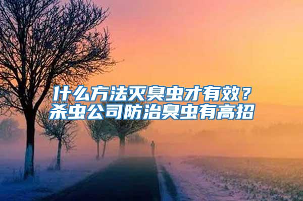 什么方法滅臭蟲才有效？殺蟲公司防治臭蟲有高招