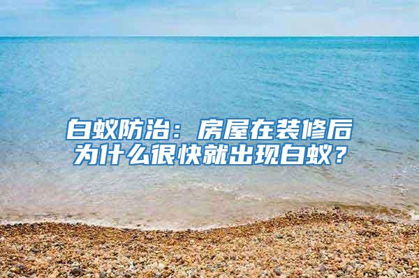 白蟻防治：房屋在裝修后為什么很快就出現(xiàn)白蟻？