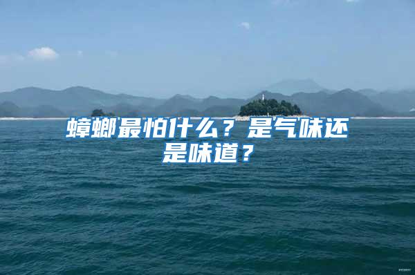 蟑螂最怕什么？是氣味還是味道？