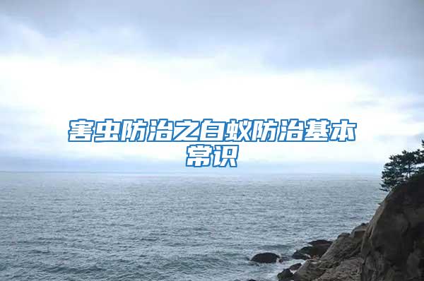 害蟲防治之白蟻防治基本常識(shí)