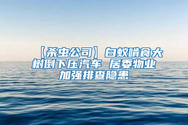 【殺蟲公司】白蟻啃食大樹倒下壓汽車 居委物業(yè)加強排查隱患