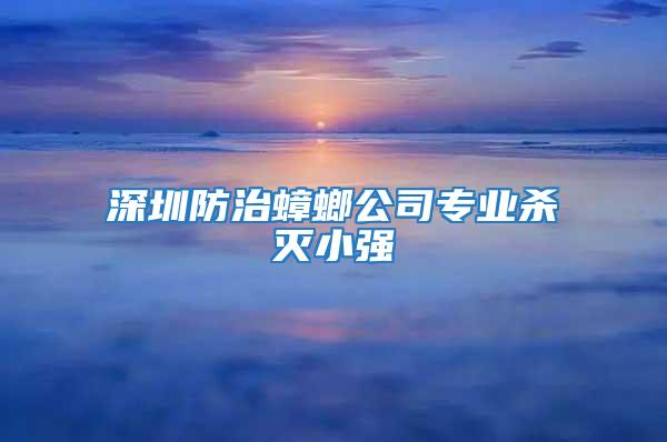 深圳防治蟑螂公司專業(yè)殺滅小強