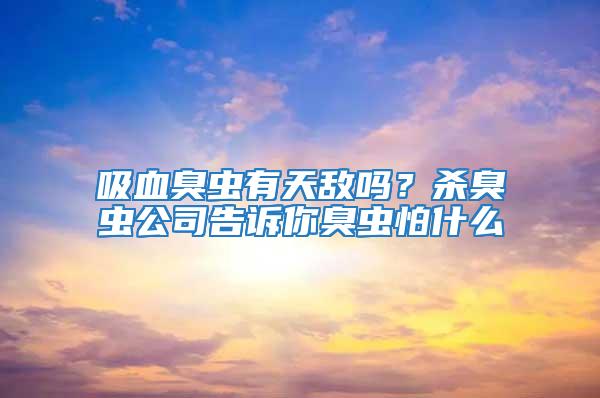 吸血臭蟲有天敵嗎？殺臭蟲公司告訴你臭蟲怕什么