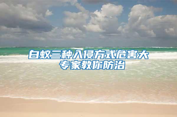 白蟻三種入侵方式危害大 專家教你防治