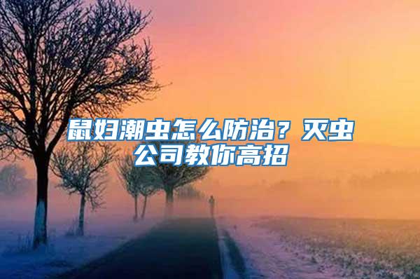 鼠婦潮蟲(chóng)怎么防治？滅蟲(chóng)公司教你高招