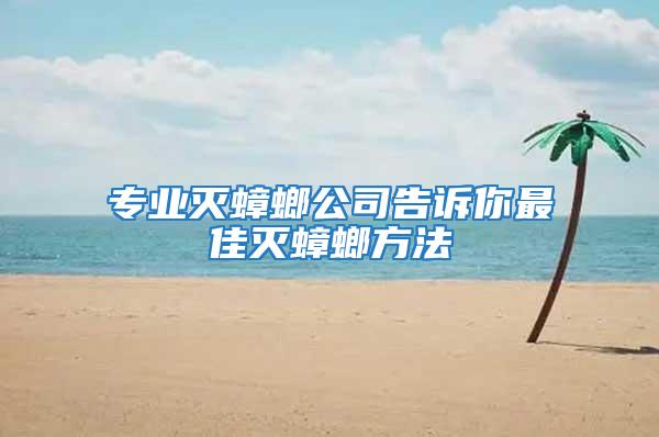 專業(yè)滅蟑螂公司告訴你最佳滅蟑螂方法