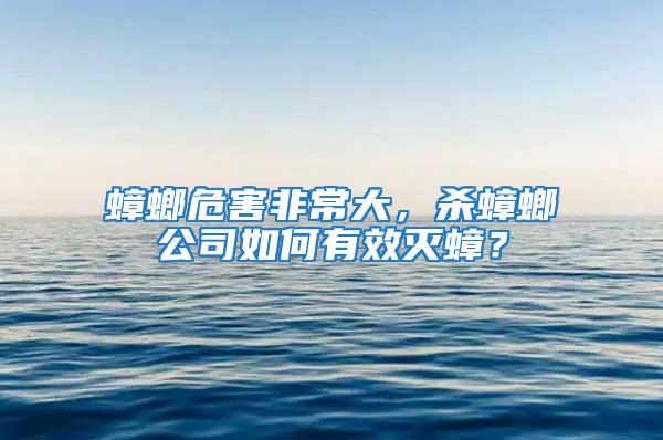 蟑螂危害非常大，殺蟑螂公司如何有效滅蟑？