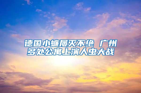 德國小蠊屢滅不絕 廣州多處公寓上演人蟲大戰(zhàn)