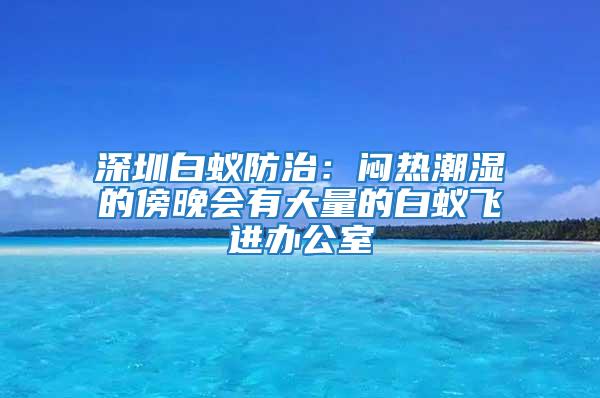 深圳白蟻防治：悶熱潮濕的傍晚會有大量的白蟻飛進辦公室