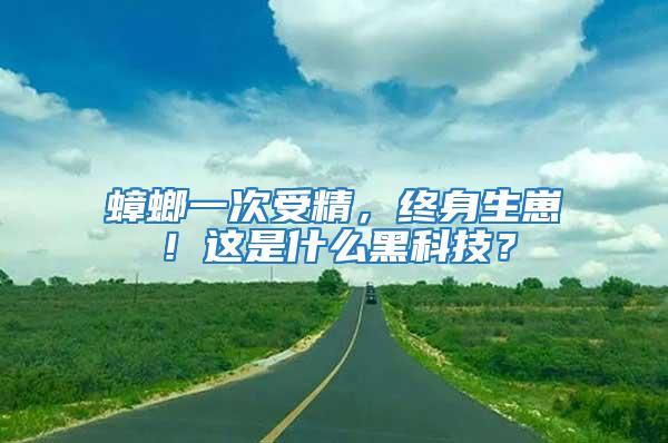 蟑螂一次受精，終身生崽！這是什么黑科技？