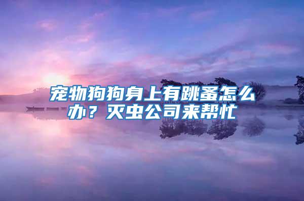 寵物狗狗身上有跳蚤怎么辦？滅蟲公司來幫忙