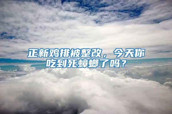 正新雞排被整改，今天你吃到死蟑螂了嗎？