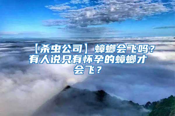 【殺蟲(chóng)公司】蟑螂會(huì)飛嗎？有人說(shuō)只有懷孕的蟑螂才會(huì)飛？