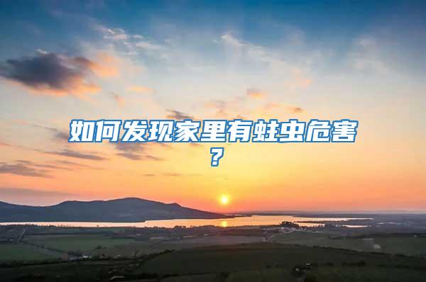 如何發(fā)現(xiàn)家里有蛀蟲危害？