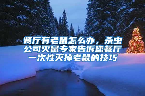 餐廳有老鼠怎么辦，殺蟲公司滅鼠專家告訴您餐廳一次性滅掉老鼠的技巧