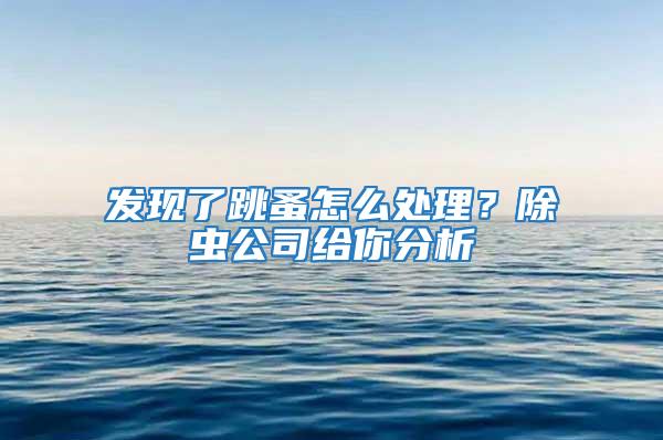 發(fā)現(xiàn)了跳蚤怎么處理？除蟲公司給你分析