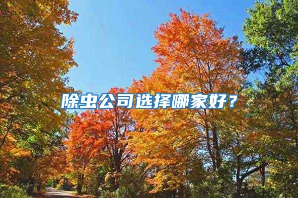 除蟲公司選擇哪家好？