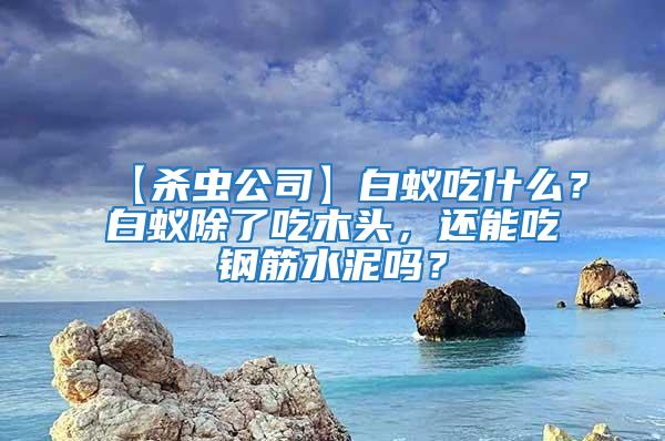 【殺蟲公司】白蟻吃什么？白蟻除了吃木頭，還能吃鋼筋水泥嗎？