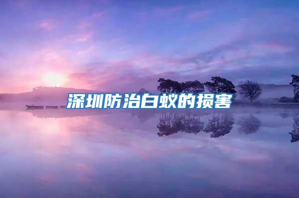 深圳防治白蟻的損害