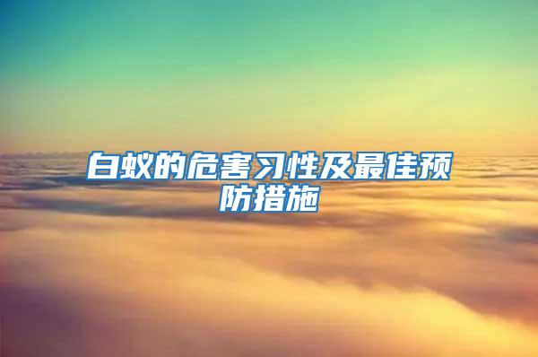 白蟻的危害習性及最佳預防措施