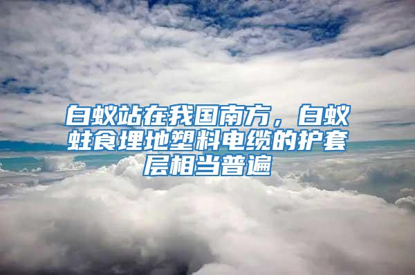 白蟻站在我國(guó)南方，白蟻蛀食埋地塑料電纜的護(hù)套層相當(dāng)普遍