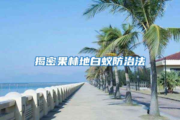 揭密果林地白蟻防治法