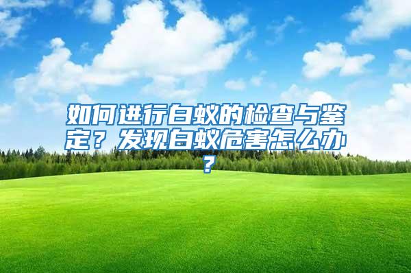 如何進行白蟻的檢查與鑒定？發(fā)現(xiàn)白蟻危害怎么辦？