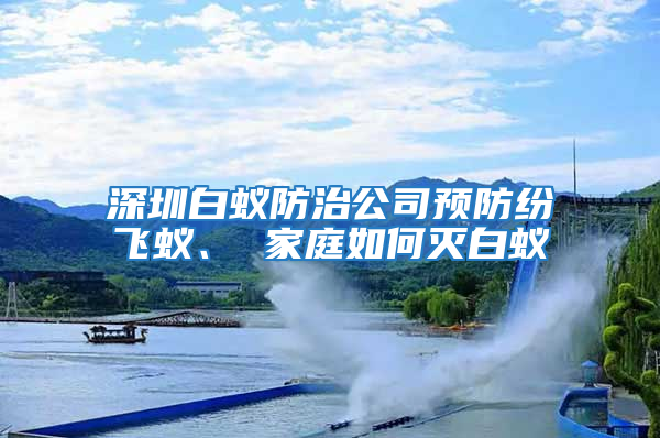 深圳白蟻防治公司預(yù)防紛飛蟻、 家庭如何滅白蟻