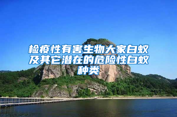 檢疫性有害生物大家白蟻及其它潛在的危險性白蟻種類