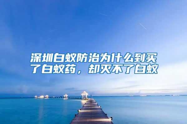 深圳白蟻防治為什么到買了白蟻藥，卻滅不了白蟻