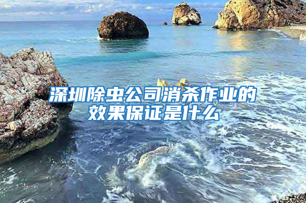 深圳除蟲公司消殺作業(yè)的效果保證是什么