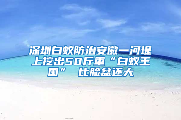 深圳白蟻防治安徽一河堤上挖出50斤重“白蟻王國” 比臉盆還大