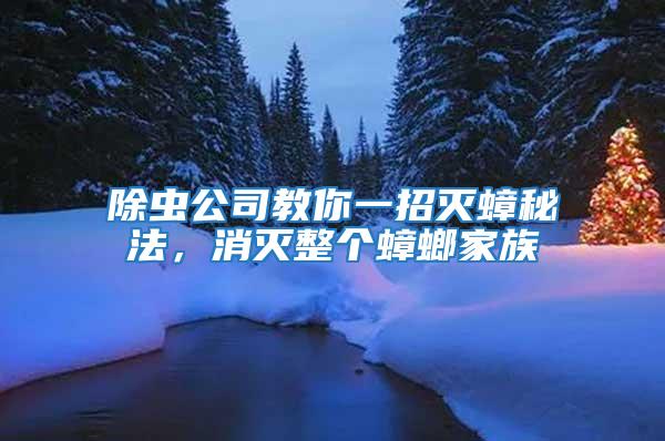 除蟲公司教你一招滅蟑秘法，消滅整個(gè)蟑螂家族