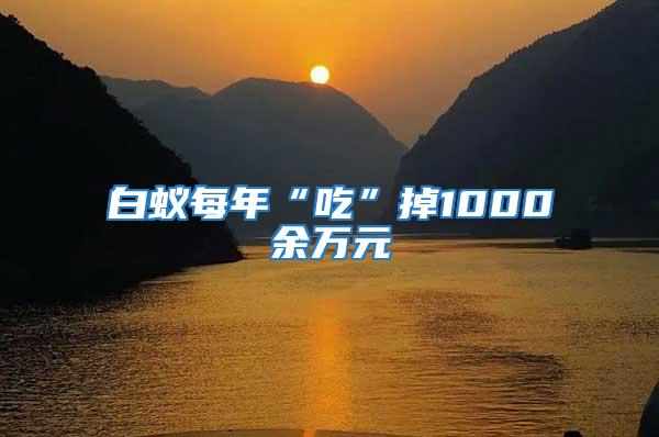 白蟻每年“吃”掉1000余萬元