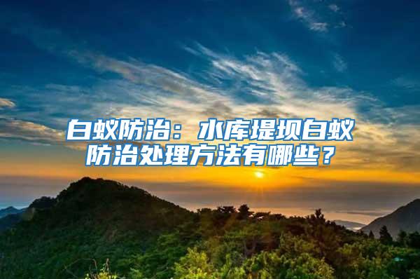 白蟻防治：水庫(kù)堤壩白蟻防治處理方法有哪些？