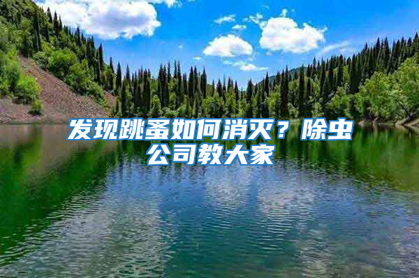 發(fā)現(xiàn)跳蚤如何消滅？除蟲公司教大家