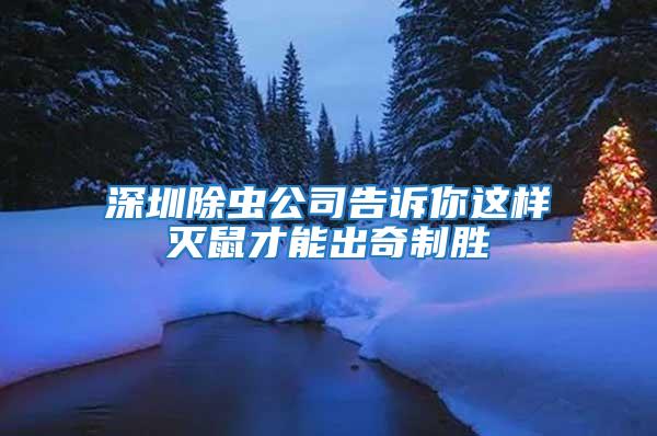 深圳除蟲公司告訴你這樣滅鼠才能出奇制勝