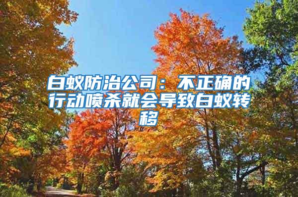 白蟻防治公司：不正確的行動噴殺就會導(dǎo)致白蟻轉(zhuǎn)移