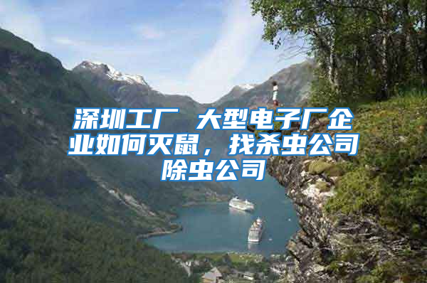 深圳工廠 大型電子廠企業(yè)如何滅鼠，找殺蟲公司除蟲公司