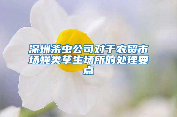 深圳殺蟲公司對于農(nóng)貿(mào)市場蠅類孳生場所的處理要點(diǎn)