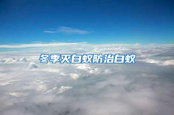 冬季滅白蟻防治白蟻