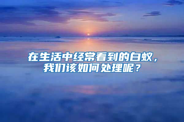 在生活中經(jīng)常看到的白蟻，我們該如何處理呢？