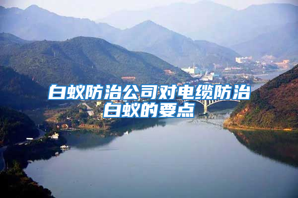 白蟻防治公司對電纜防治白蟻的要點