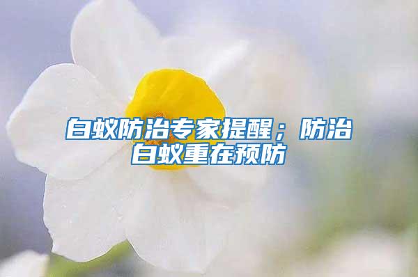 白蟻防治專家提醒；防治白蟻重在預(yù)防