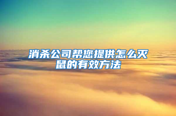 消殺公司幫您提供怎么滅鼠的有效方法