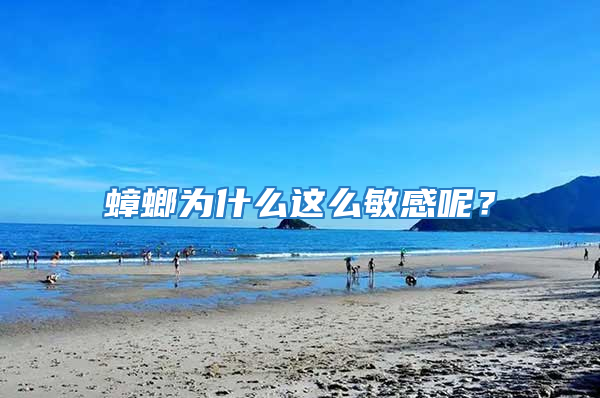 蟑螂為什么這么敏感呢？