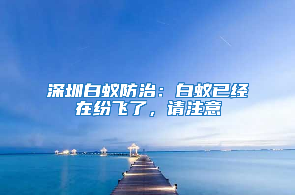 深圳白蟻防治：白蟻已經(jīng)在紛飛了，請注意