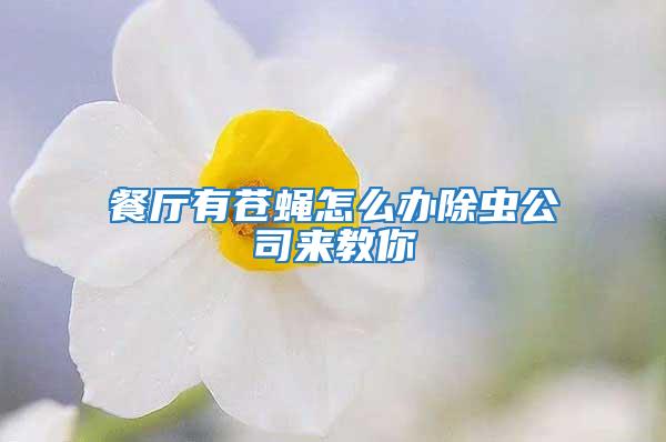 餐廳有蒼蠅怎么辦除蟲公司來教你