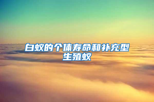 白蟻的個體壽命和補充型生殖蟻